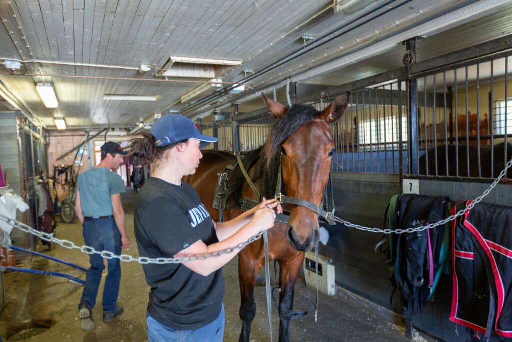 Professional trainer Janita Luttunen, Team Luttunen, in the stable environment 