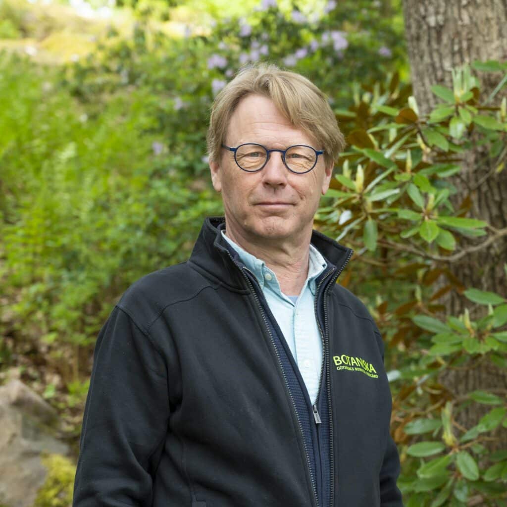 Mats Havström, Gothenburg Botanic Garden, Arctic Botanic Garden Storklinten