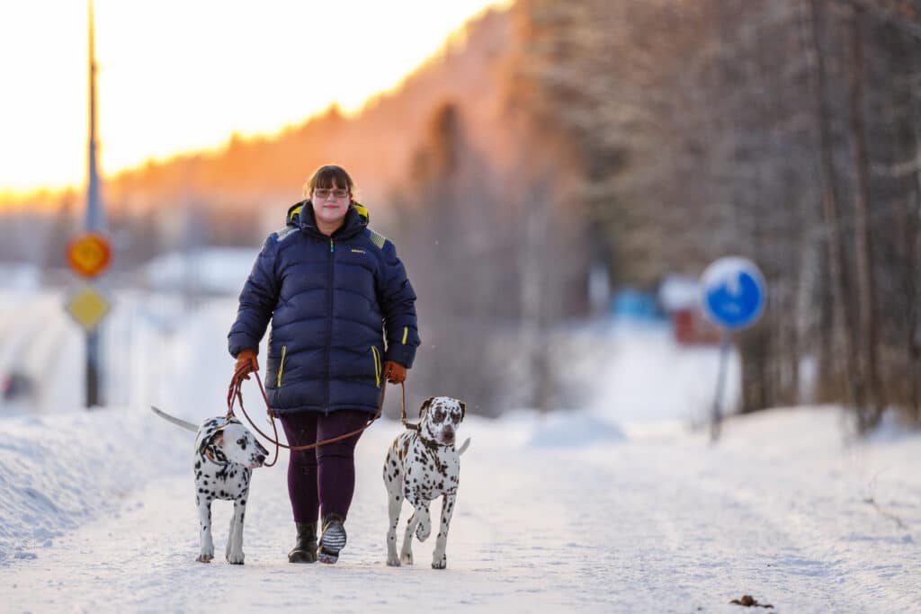 Catrine walks in winter environment with two Dalmatians