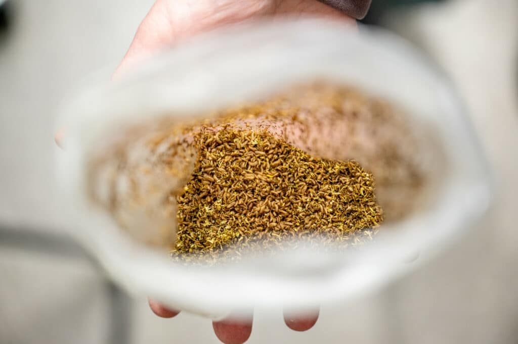 A close-up image shows a sealed bag containing dried larvae and feed material, held by a researcher.