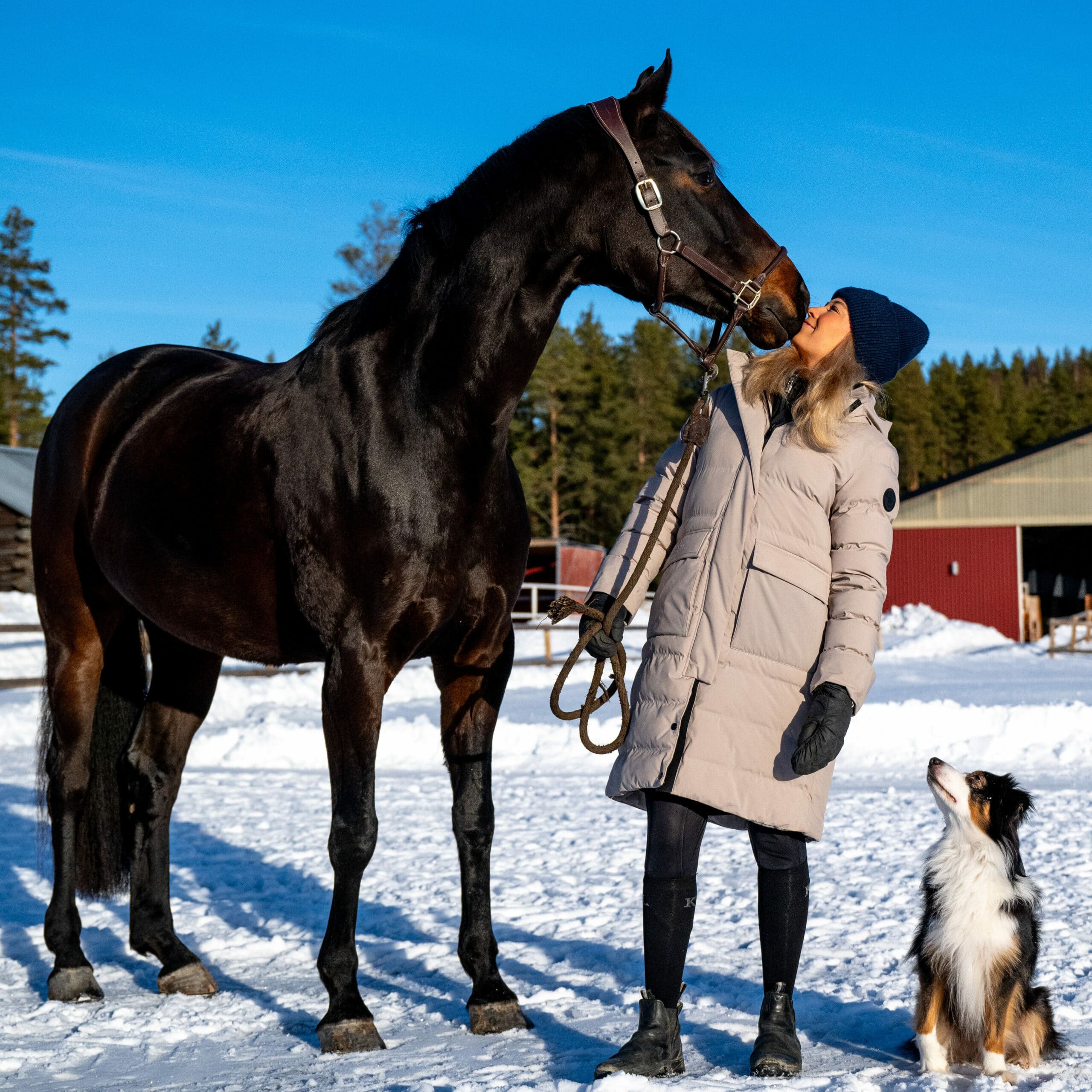 Nina outdoors with horse and skin in winter sun in Boden